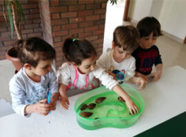 Flexible Education Program