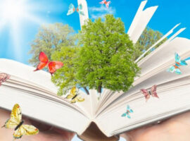 Montessori Education