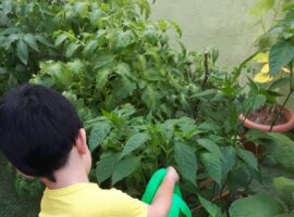 Agriculture Workshop